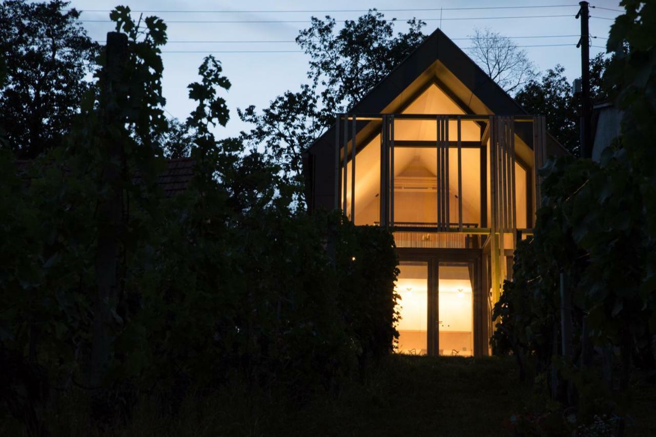 Weinlofts Weinloft II Villa Eisenberg an der Pinka Eksteriør billede