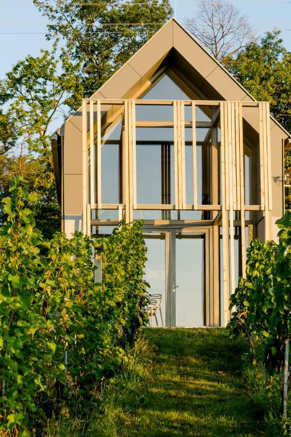 Weinlofts Weinloft II Villa Eisenberg an der Pinka Eksteriør billede