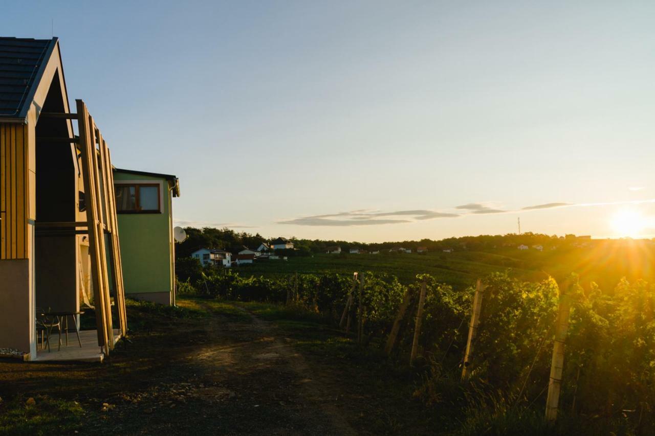 Weinlofts Weinloft II Villa Eisenberg an der Pinka Eksteriør billede